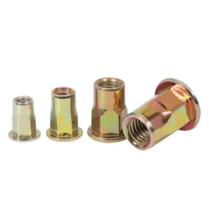 Rivet Nuts Flat Head Inner-Hex Body FH-IHB Main Image